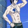 Gray Fullbuster paint by number