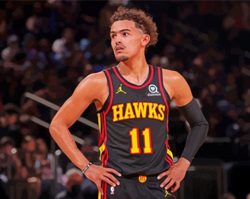 Hawks Star Trae Young paint by numbers