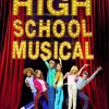 High School Musical Movie Poster paint by numbers