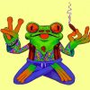 Hippie Frog Smoking paint by numbers