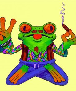 Hippie Frog Smoking paint by numbers