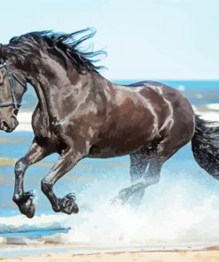 Horse Animal On The Beach paint by numbers