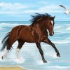 Horse On The Beach Art paint by numbers