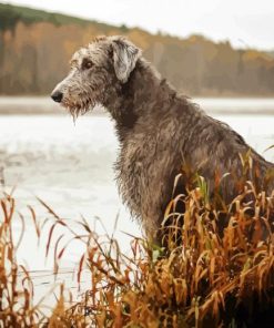 Irish Wolfhound Puppy paint by numbers