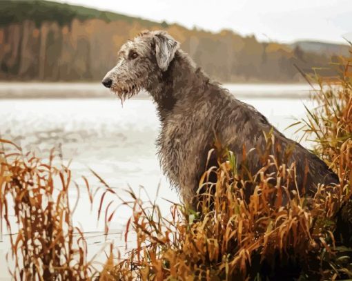 Irish Wolfhound Puppy paint by numbers