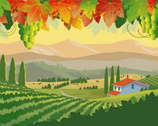 Italy Vineyard Art paint by numbers