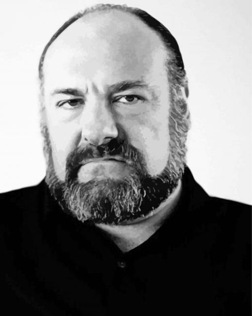 James Gandolfini paint by number