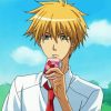 Kaichou Wa Maid Sama Character Takumi Usui paint by numbers