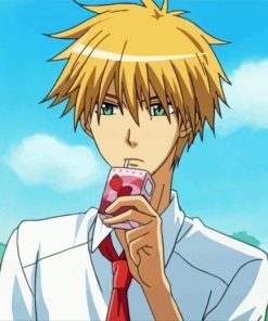 Kaichou Wa Maid Sama Character Takumi Usui paint by numbers