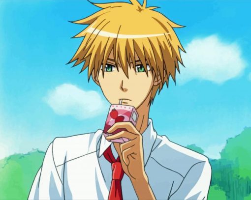 Kaichou Wa Maid Sama Character Takumi Usui paint by numbers