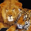 Lion And Tiger paint by number