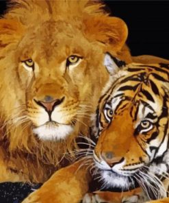 Lion And Tiger paint by number