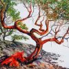 Madrone Arbutus Tree paint by numbers