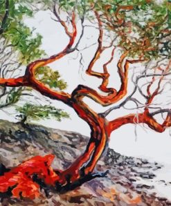 Madrone Arbutus Tree paint by numbers