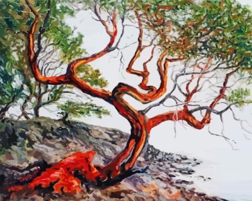 Madrone Arbutus Tree paint by numbers