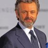 Michael Sheen Actor paint by number