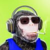 Monkey Smoker With Headphones paint by numbers