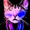 Neon Cat With Headphones paint by numbers