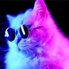 Neon Cats With Black Glasses paint by numbers