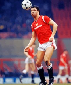 Paul Mcgrath Footballer paint by number