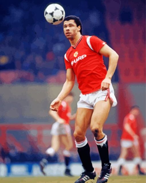 Paul Mcgrath Footballer paint by number