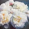 Peonies Flowers paint by number