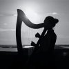 Playing Harps Silhouette paint by numbers