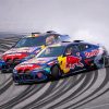 Red Bull BMW M4 Cars paint by numbers