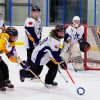 Ringette Sports paint by number