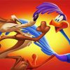 Roadrunner And Coyote Cartoon paint by number