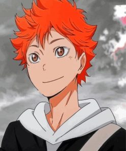 Shôyô Hinata Haikyuu Anime Character paint by numbers