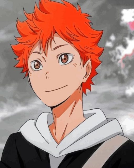 Shôyô Hinata Haikyuu Anime Character paint by numbers