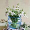 Snow Drops In Glass Vase paint by numbers