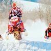 Snowmobiles Race paint by numbers