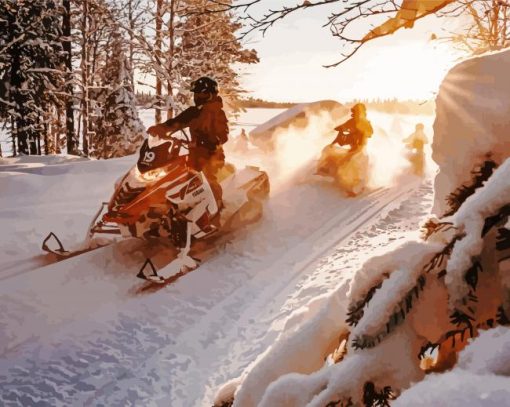 Snowmobiles Riders paint by numbers