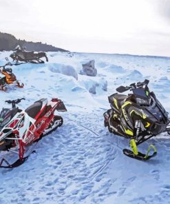 Snowmobiles paint by numbers