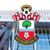 Southampton Fc Logo Art paint by numbers