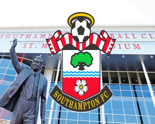 Southampton Fc Logo Art paint by numbers
