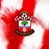 Southampton Fc Team Logo paint by numbers