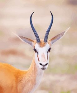 Springbok Head paint by number