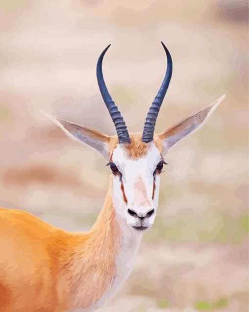 Springbok Head paint by number