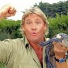 Steve Irwin paint by numbers