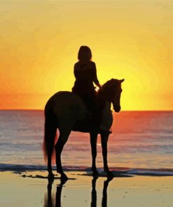 Sunset Horse On The Beach Silhouette paint by numbers