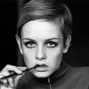 The Beautiful Twiggy paint by numbers