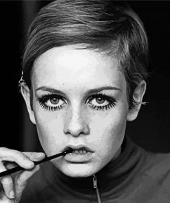 The Beautiful Twiggy paint by numbers