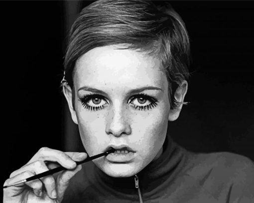 The Beautiful Twiggy paint by numbers