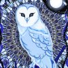 The Mystic Blue owl paint by number