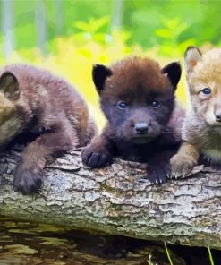 Three Wolf Pups paint by numbers