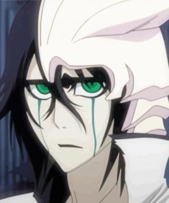 Ulquiorra Cifer paint by number