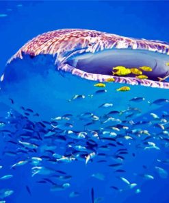 Whale Shark Western Australia Ningaloo paint by numbers